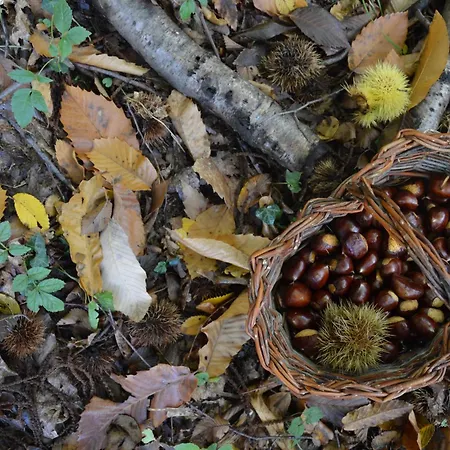 Place Of Peace And Reflection Valchiusella 브로쏘