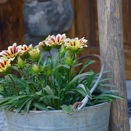 Place Of Peace And Reflection Valchiusella 아파트 *