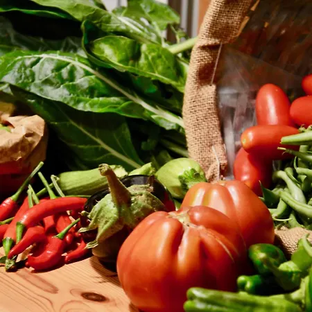 Place Of Peace And Reflection Valchiusella