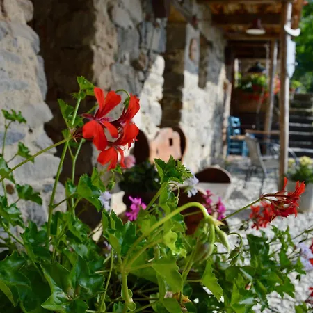 דירה Place Of Peace And Reflection Valchiusella