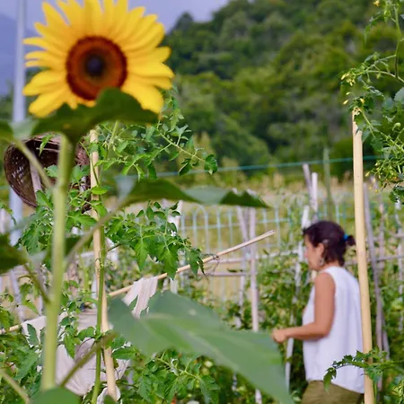 아파트 Place Of Peace And Reflection Valchiusella *