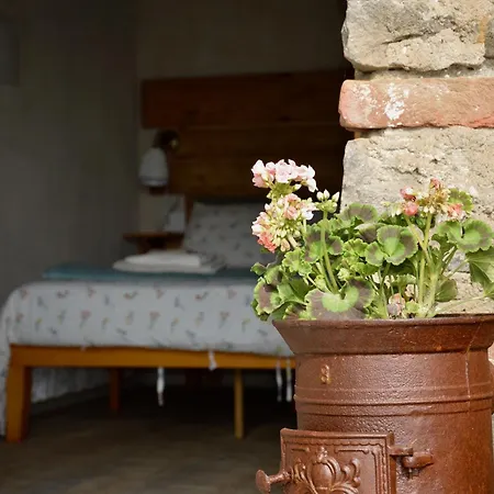 Place Of Peace And Reflection Valchiusella 아파트 *