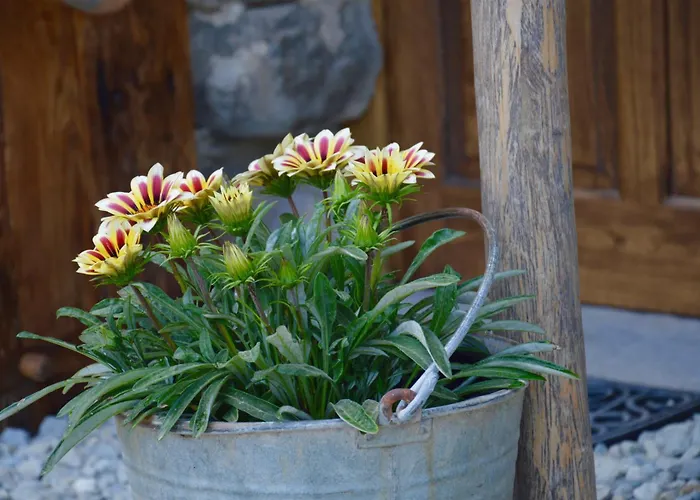 Place Of Peace And Reflection Valchiusella Lägenhet *