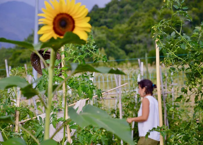 Lägenhet Place Of Peace And Reflection Valchiusella *